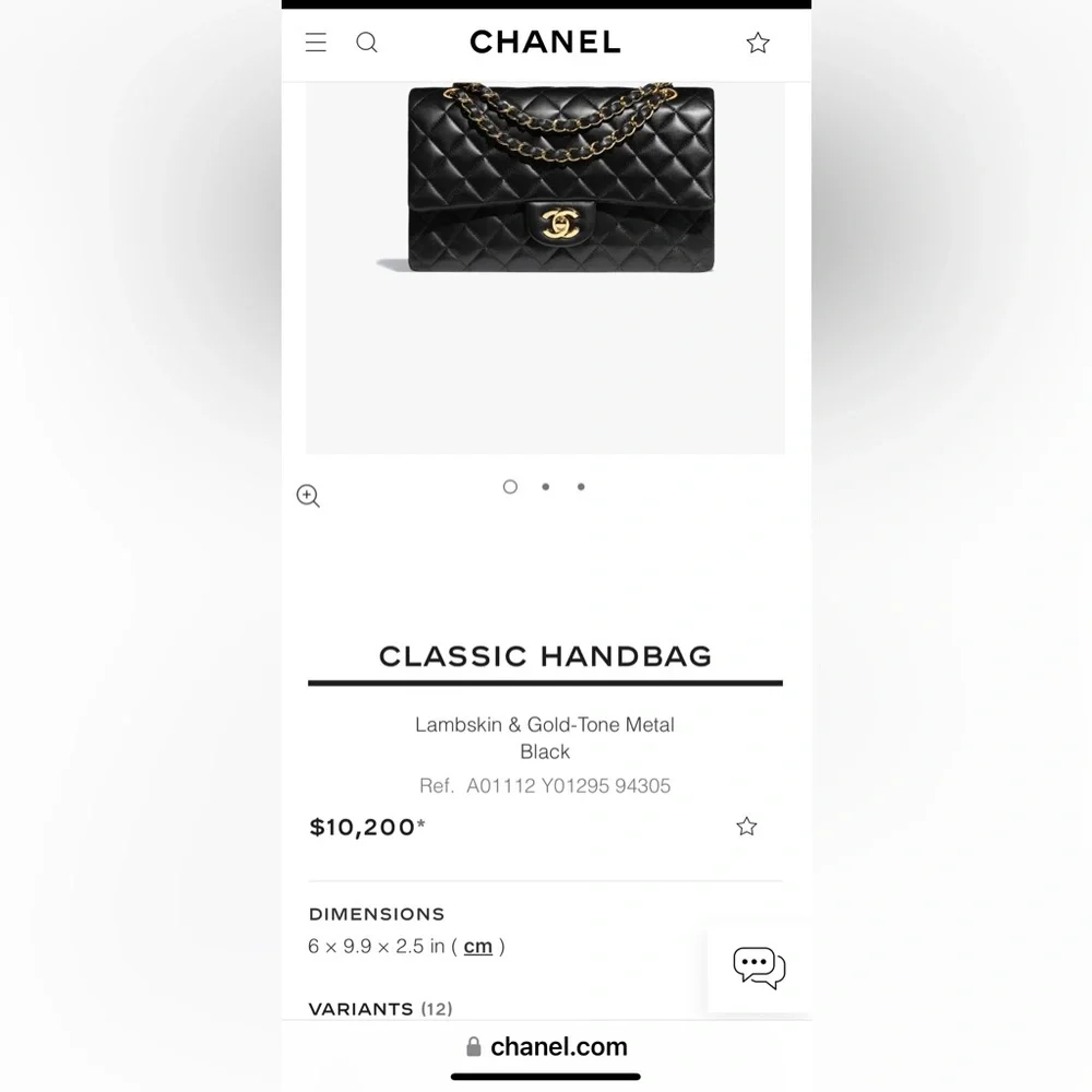 CHANEL DIANA 25 Single Flap Quilted Logo Lambskin Chain Bag - Picture 13 of 13